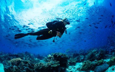 DIVE@ONE15