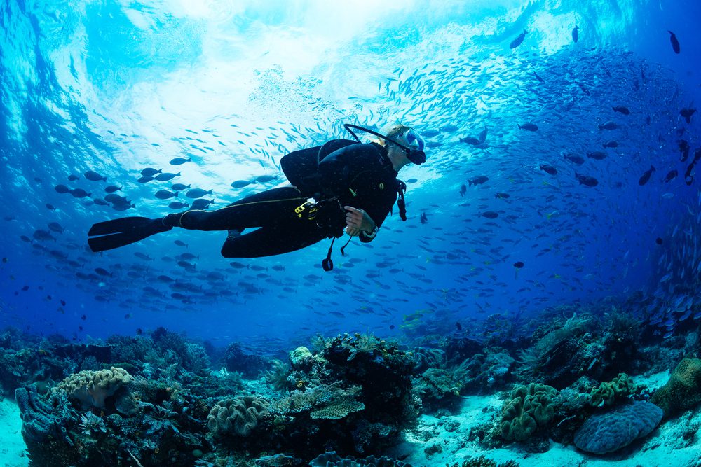 DIVE@ONE15