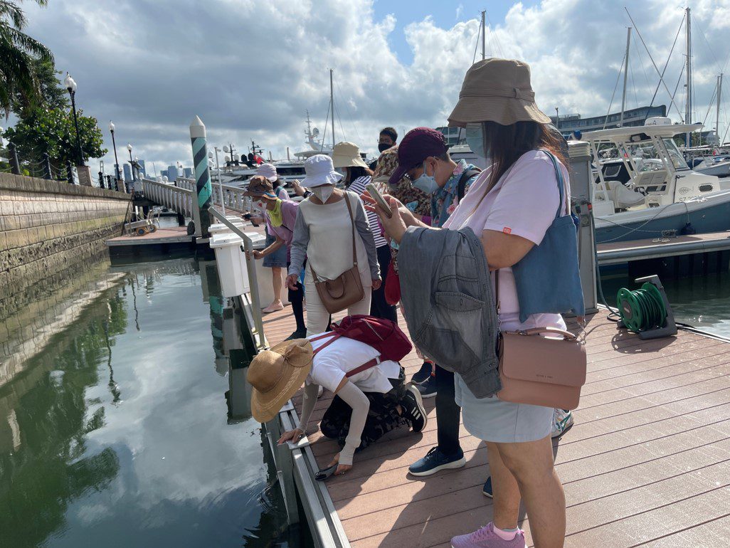 Conduct Coral Garden Educational Tours