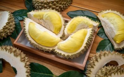 Durian Fiesta
